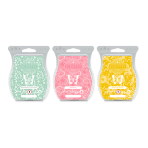 Scentsy Bars