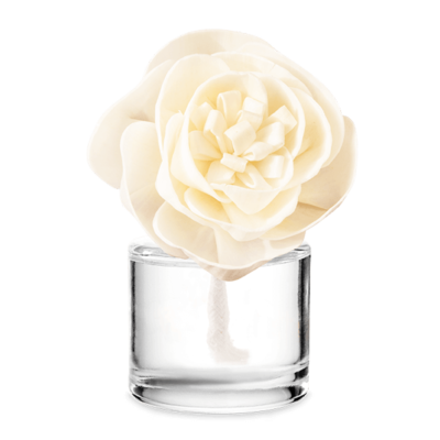 Luna Buttercup Belle Fragrance Flower