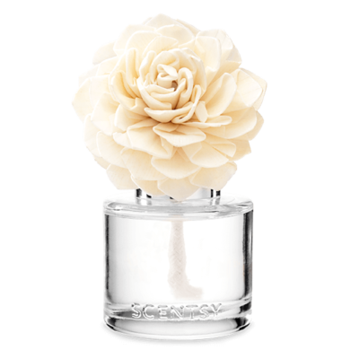 Luna Dahlia Darling Fragrance Flower