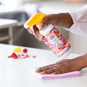 Scentsy Clean Counter Clean